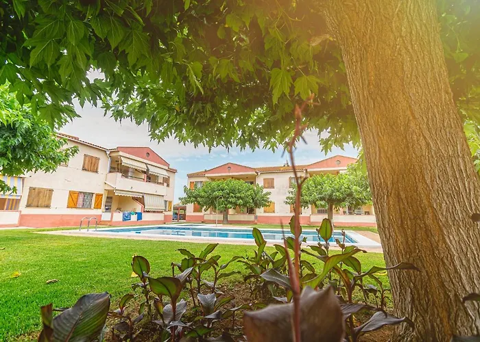 Apartamentos Aigua Oliva