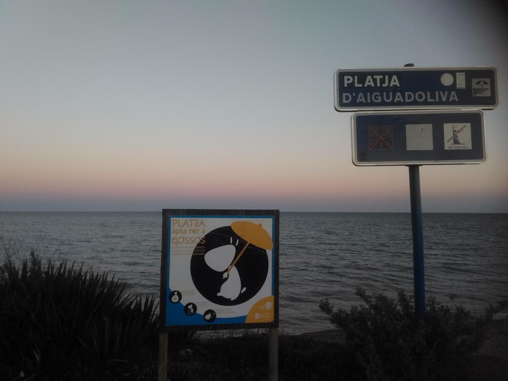 Aigua Oliva Apartment